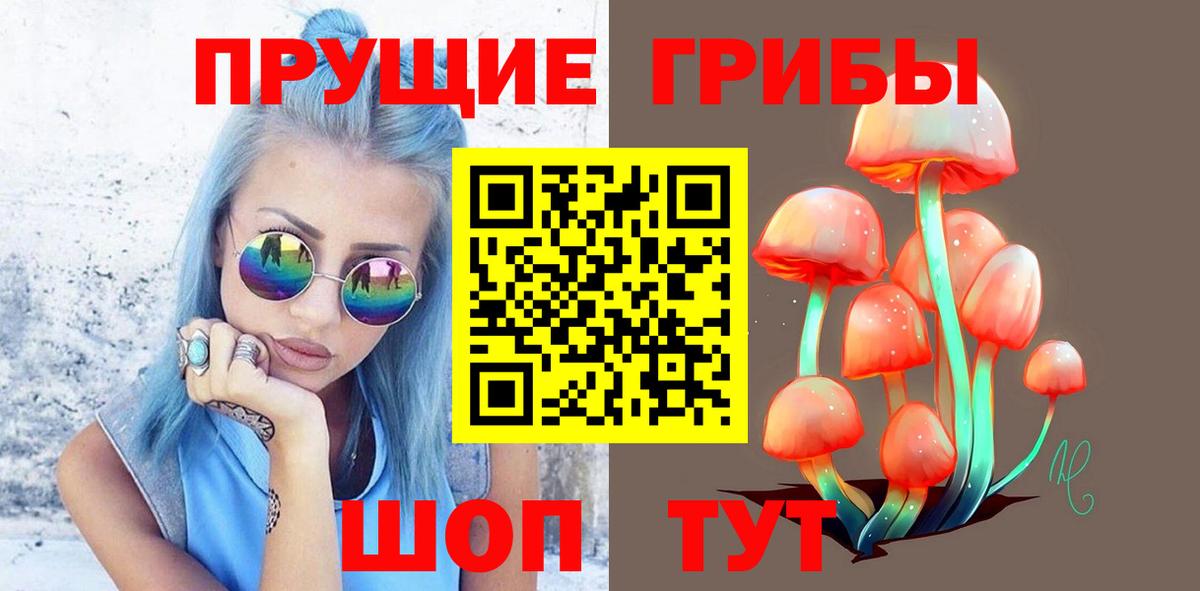наркотики  Вход с VPN  Кувандык  Галлюциногенные грибы MAGIC MUSHROOMS 